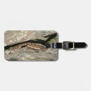 Rattlesnake i Shenandoah nationalpark Bagagebricka