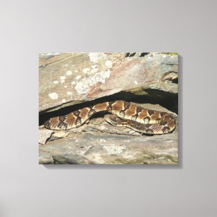 Rattlesnake i Shenandoah nationalpark Canvastryck