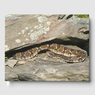 Rattlesnake i Shenandoah nationalpark Gästböcker