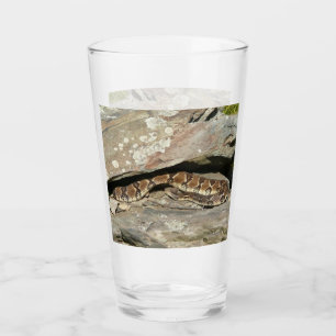 Rattlesnake i Shenandoah nationalpark Glaskopp