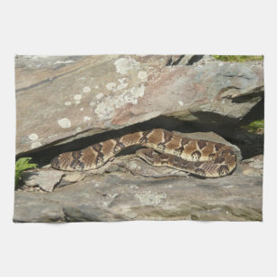 Rattlesnake i Shenandoah nationalpark Kökshandduk