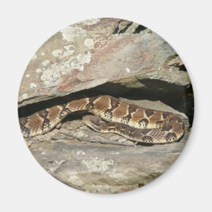 Rattlesnake i Shenandoah nationalpark Magnet