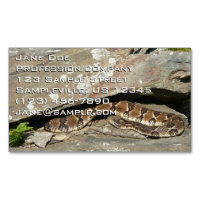 Rattlesnake i Shenandoah nationalpark