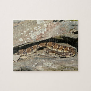 Rattlesnake i Shenandoah nationalpark Pussel