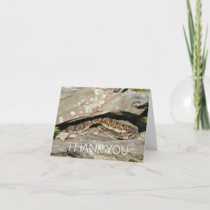 Rattlesnake i Shenandoah nationalpark Tack Kort