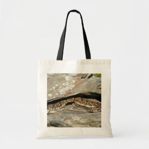 Rattlesnake i Shenandoah nationalpark Tygkasse