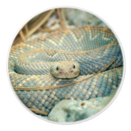 Rattlesnake Knopp