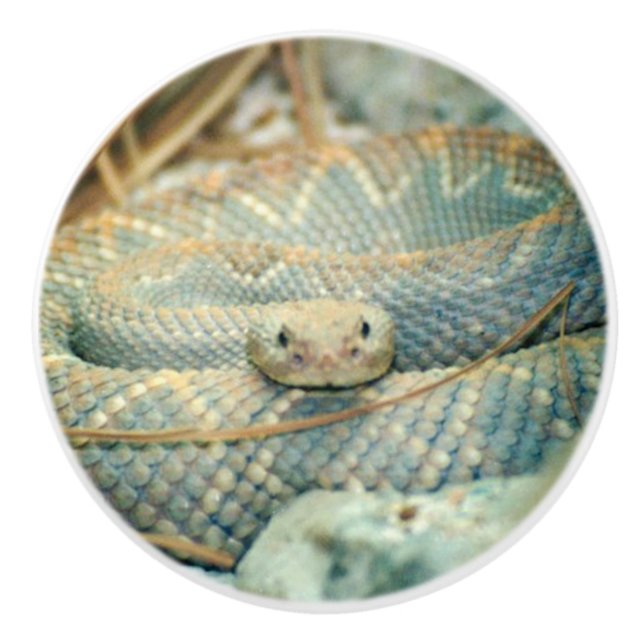 Rattlesnake Knopp (Framsidan)