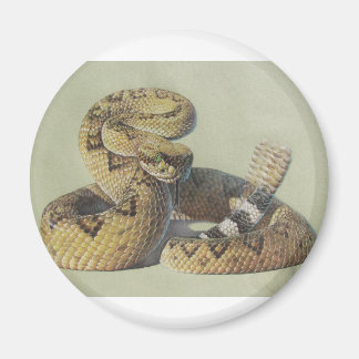 Rattlesnake Magnet