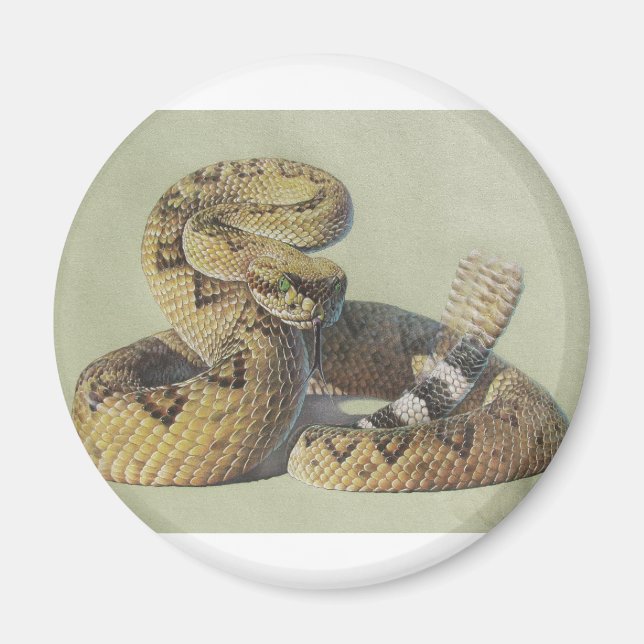 Rattlesnake Magnet (Framsidan)