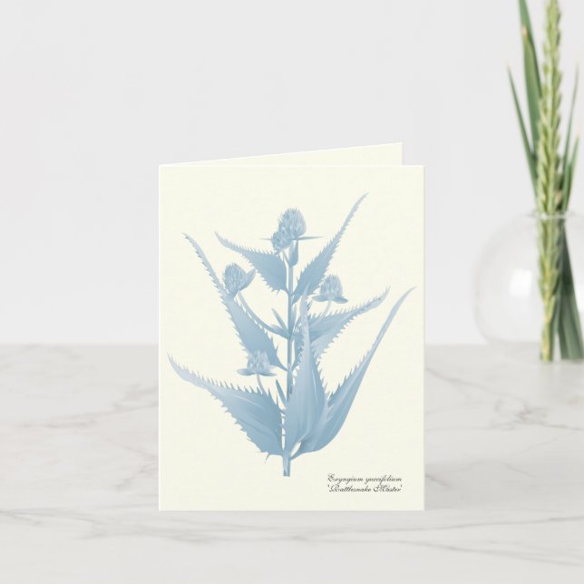 Rattlesnake Master Prairie Plant Note Card Kort (Framsida)