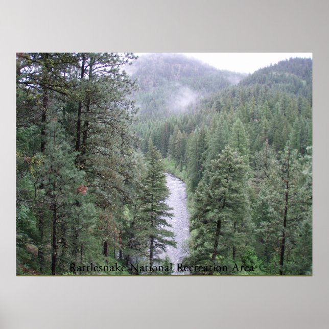 Rattlesnake National Recretion Area Poster (Framsidan)