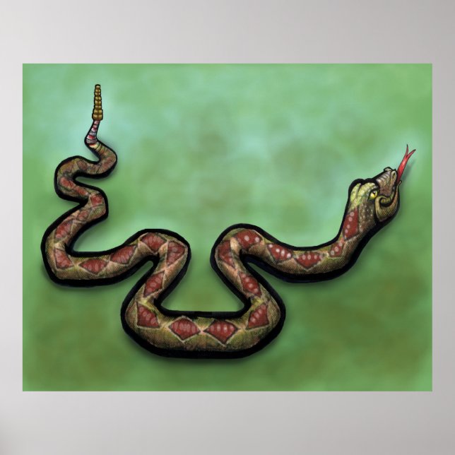 Rattlesnake poster (Framsidan)