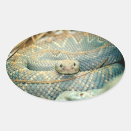 Rattlesnake Stickers Ovalt Klistermärke