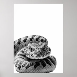 Rattlesnake Woodland Modern Porträtt svartvit Poster