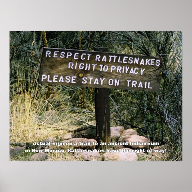 Rattlesnakes har en Höger av vag humorism Poster (Framsidan)