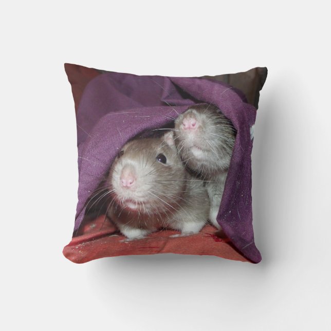 råttor gömmer amerikanska Mojo-kuddar Kudde (Framsida)