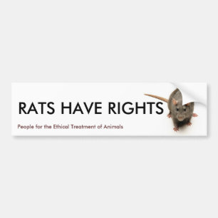 RÅTTOR HAR RÄTTIGHETER BILDEKAL