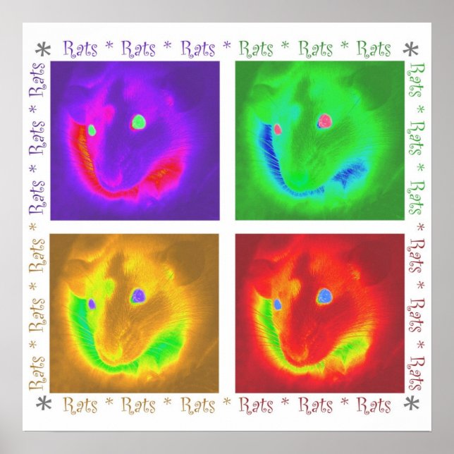 Råttor Råttor Råttor Poster (Framsidan)