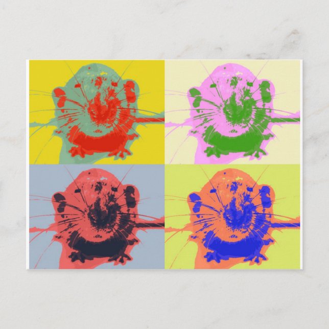 Råttor Vykort (Framsida)