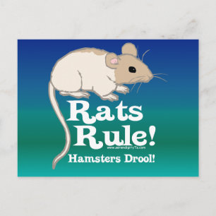 Råttor! Vykort