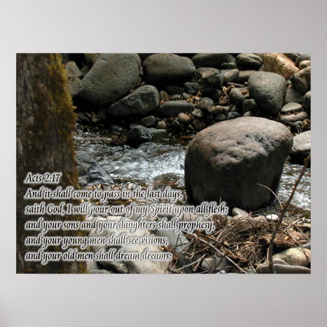 Rättsakter 2:17 Löften Poster (Framsidan)