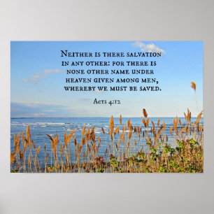 Rättsakter 4:12 Det finns inte heller någon räddni Poster