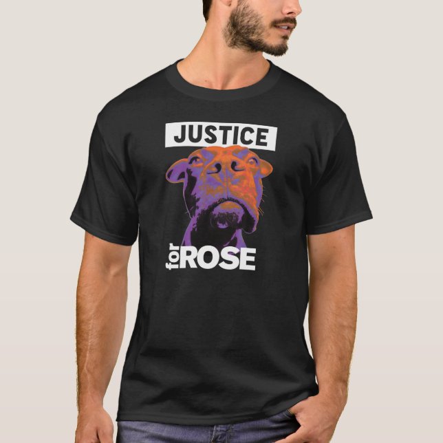 Rättvisa 4 steg tee shirt (Framsida)