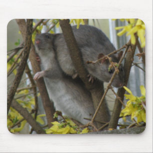 Ratty cuddles Mousepad Musmatta