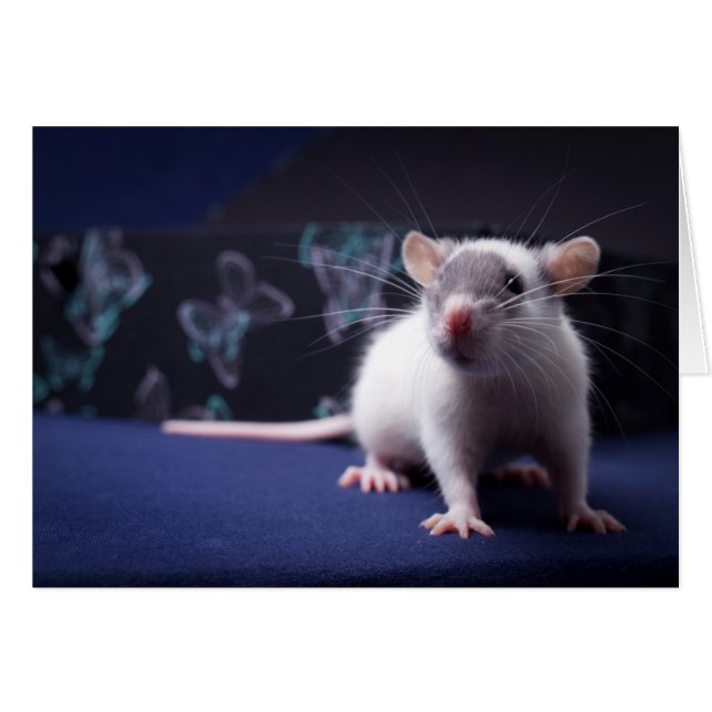 Ratty kort (Framsidan Horizontal)