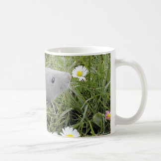 Ratty lukta daisy kaffemugg