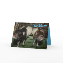 Ratty Smiles Mors dag Card