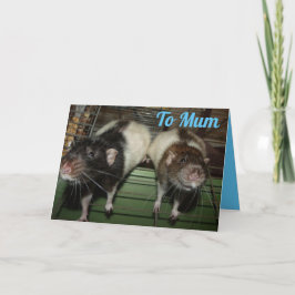 Ratty Smiles Mors dag Card Kort
