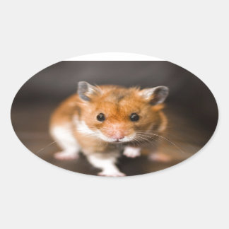 Ratty's hamster ovalt klistermärke
