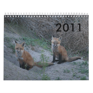 Räv 2011 kalender