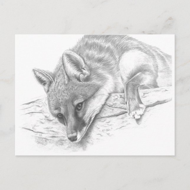 räv 59 vykort (Framsida)