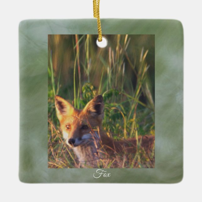 Räv Foto Ornament  (Framsida)