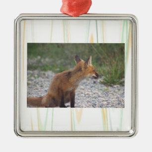 Räv Foto Ornament