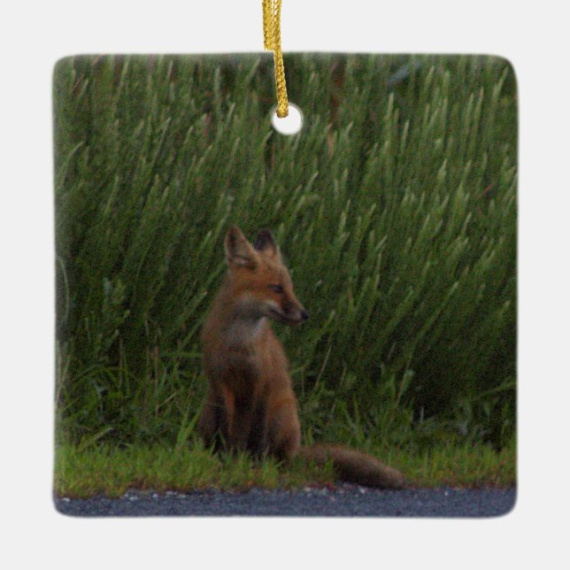 Räv Foto Ornament  (Framsida)