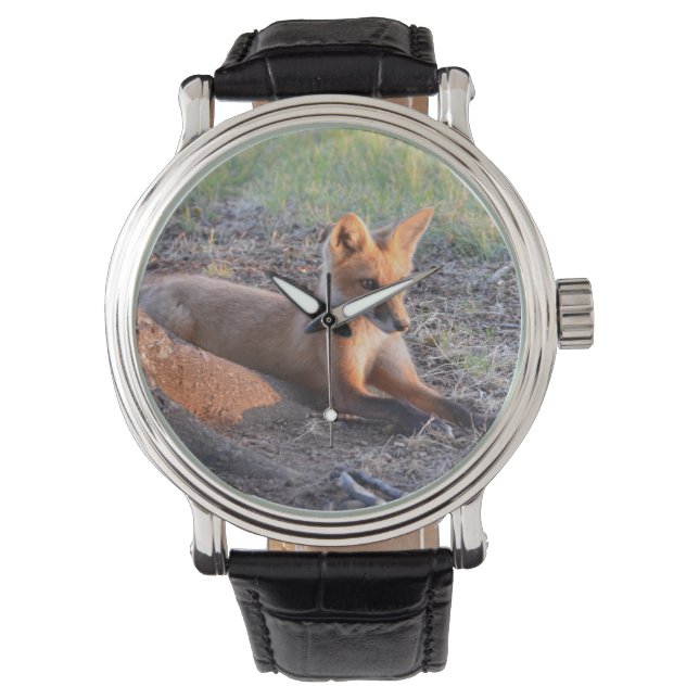 Räv i solljus armbandsur (Framsida)