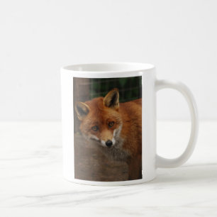 räv kaffemugg