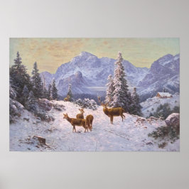 Rävar med flock på vintern poster