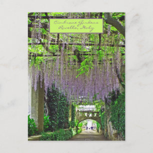 RAVELLO,ITALIEN/CIMBRONE GARDENS/CASCADING WISTERI VYKORT
