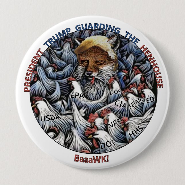 Räven amongst hönorna knapp (Framsida)