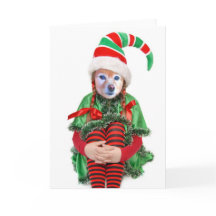 Räven är en flickaälva, #2