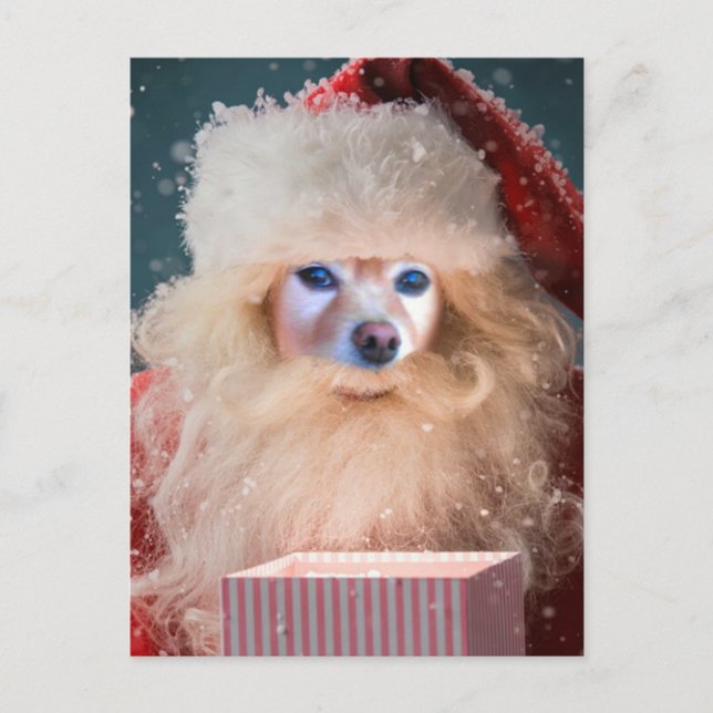 Räven är Santa med en gåva Helg Vykort (Framsida)