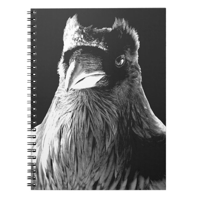Raven Art Notebook Kråka Art Journal Bok Anteckningsbok (Framsidan)