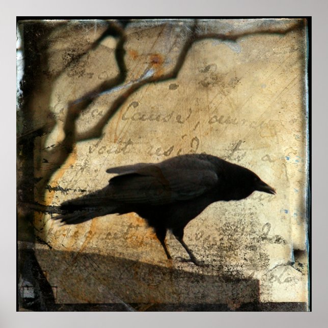 Raven Art Poster (Framsidan)