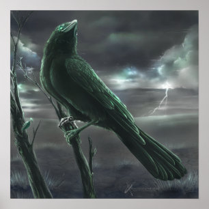 Raven bot poster
