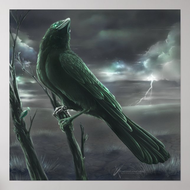 Raven bot poster (Framsidan)